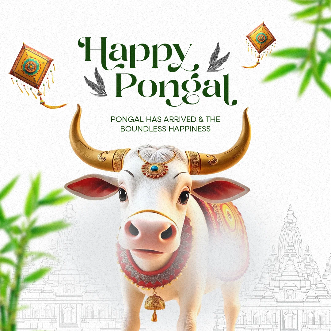Happy Pongal 3D cow free PSD template featuring vibrant festive elements, perfect for Pongal greetings and social media promotions.