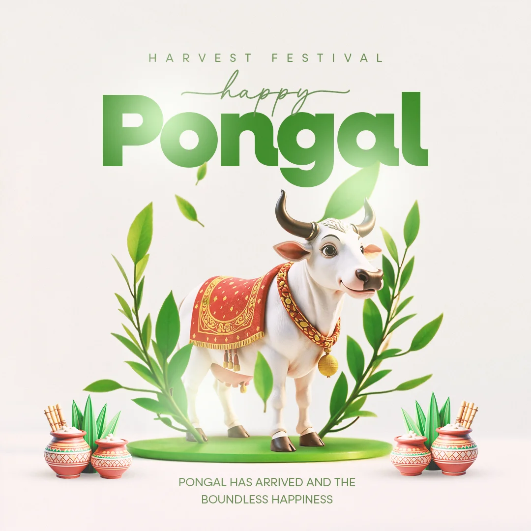 Minimal Pongal free PSD template with simple and elegant design, perfect for festive greetings and social media posts.