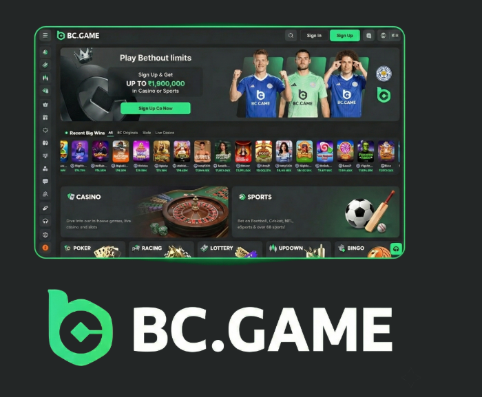Exploring BC.Game The Leading Crypto Casino in Pakistan